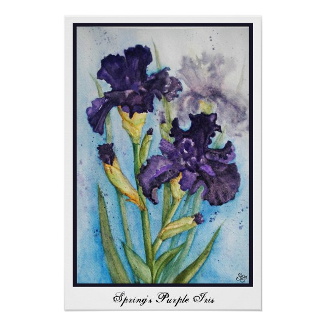Spring's Purple Iris Poster (Front)