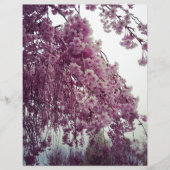 Springtime (Front)