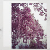 Springtime (Front/Back)