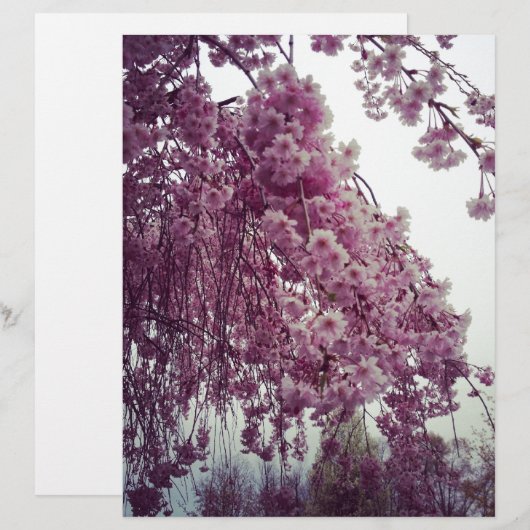 Springtime (Front/Back)