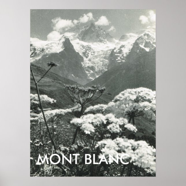 Springtime and snow, Mont Blanc, France Poster (Front)