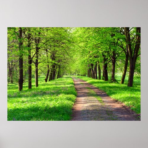 springtime avenue poster