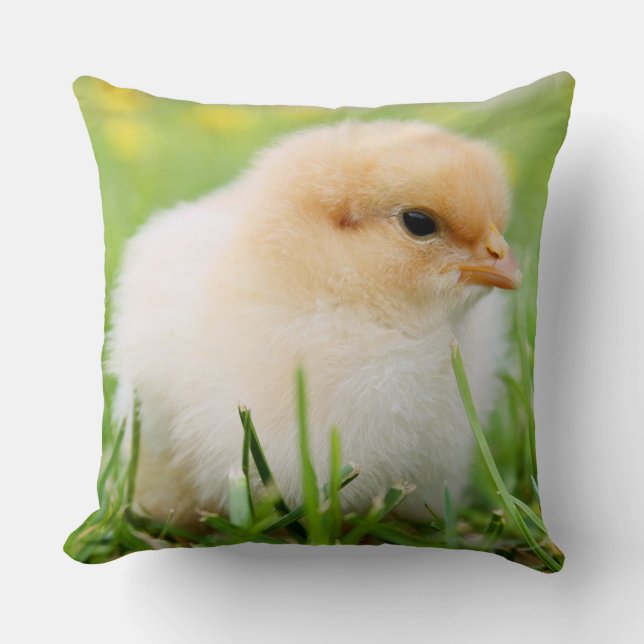 Springtime Baby Chick Throw Pillow (Front)