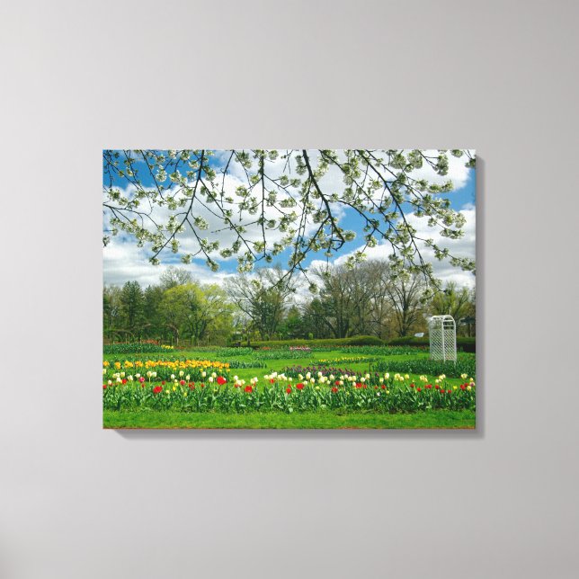 Springtime beauty at Elizabeth Park Canvas Print (Front)