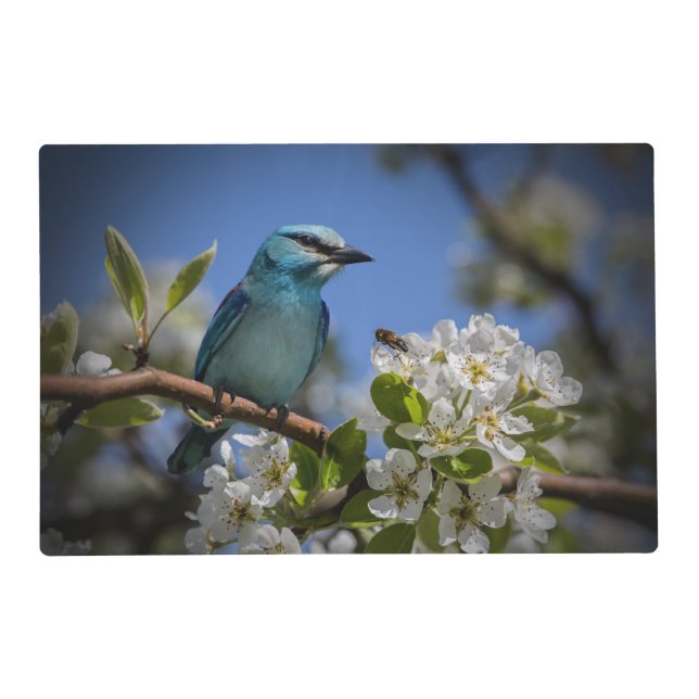Springtime Bird On Branch Placemat (Front)