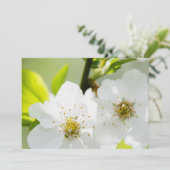 Springtime blooming (Standing Front)