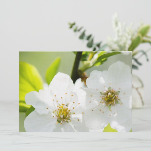 Springtime blooming (Standing Front)