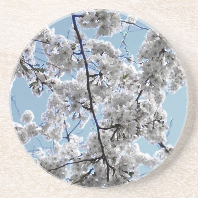 'Springtime Blossoms' Coaster (Front)