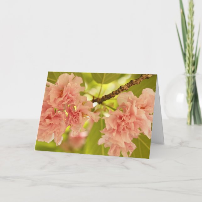 Springtime Card (Front)