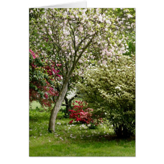 Springtime Cards
