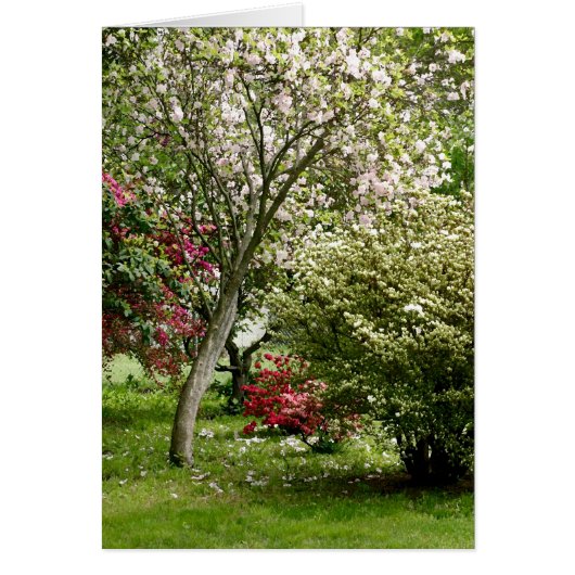 Springtime Cards (Front)