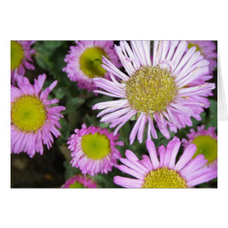 "Springtime chez moi" Cards