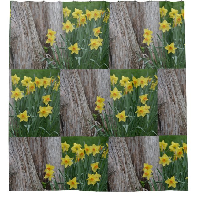 Springtime Daffodils Shower Curtain (Front)
