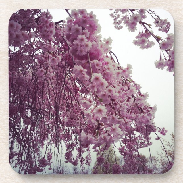 Springtime Drink Coaster (Front)