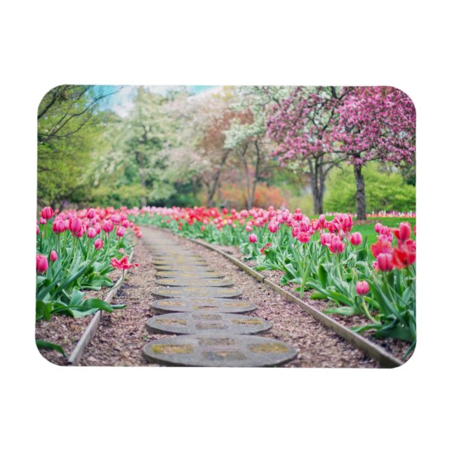 Springtime Flowers Along Stone Walkway Magnet (Horizontal)