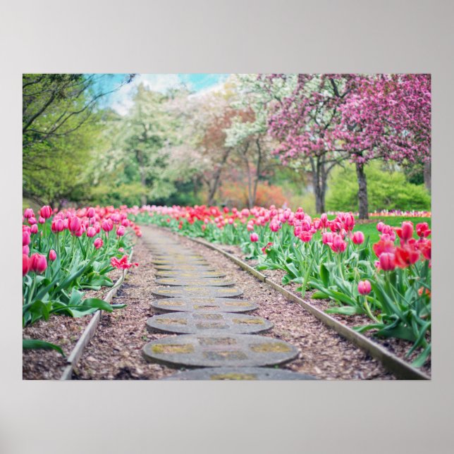 Springtime Flowers Along Stone Walkway Poster (Front)