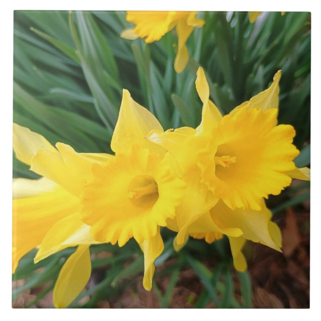 Springtime Flowers Ceramic Tile (Front)