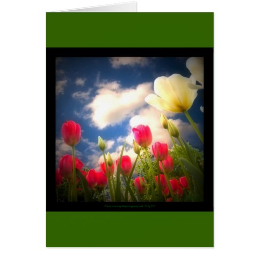 Springtime Flowers Collection I Cards (Front)