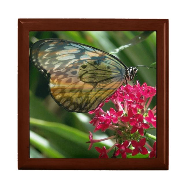 Springtime Gardens Butterfly Jewelry Box (Front)