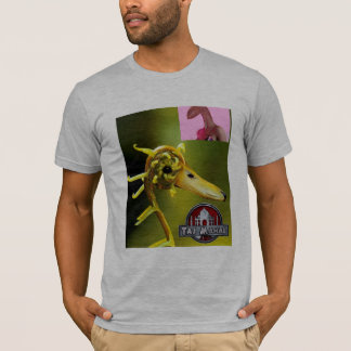Springtime Goose has-sprung T-Shirt