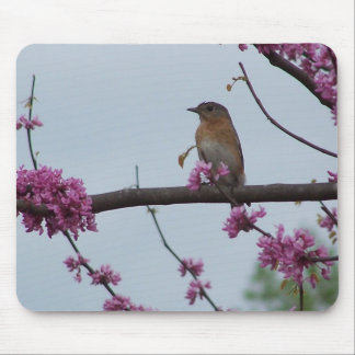 Springtime Greetings Mouse Pad
