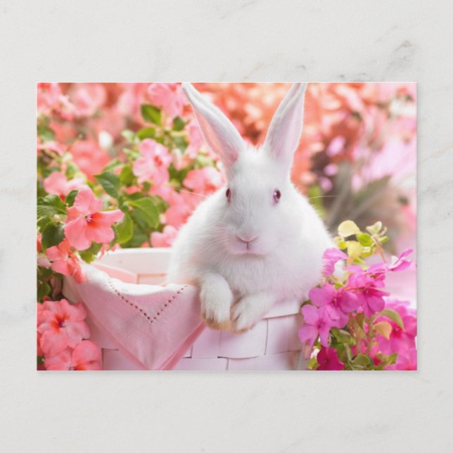 Springtime Hare Postcard (Front)