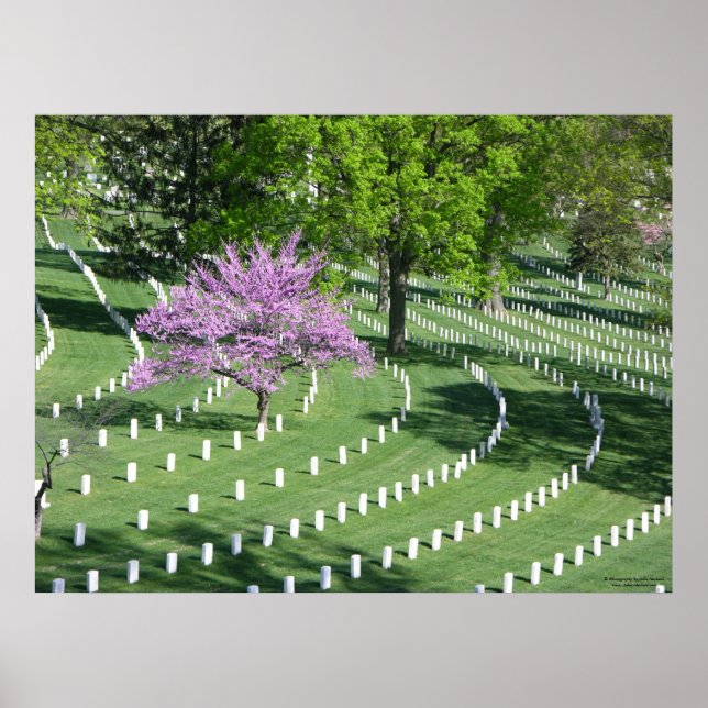 Springtime in Arlington National Cemetery Poster (Front)