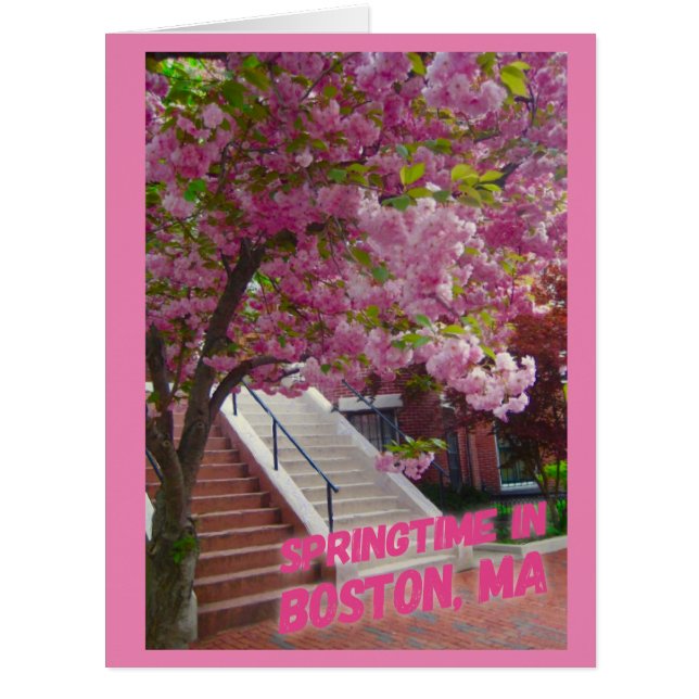 Springtime in Boston, MA Cards (Front)