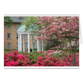 Springtime in Chapel Hill (Front Horizontal)