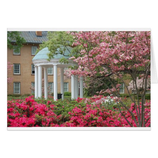 Springtime in Chapel Hill Cards (Front Horizontal)