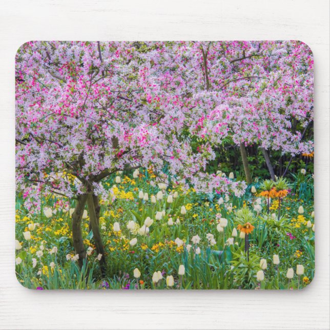 Springtime in Claude Monet's garden Mouse Pad (Front)
