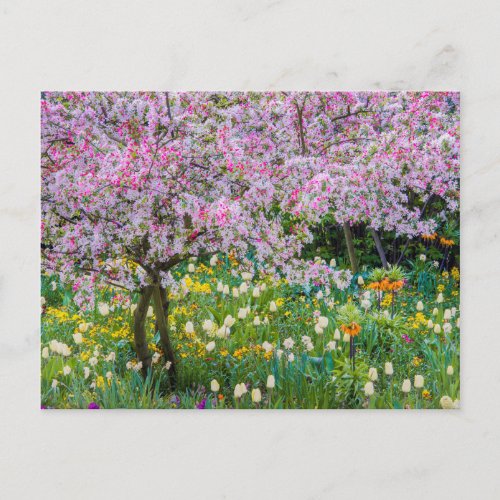 Springtime in Claude Monets garden Postcard