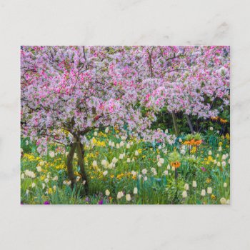 Springtime In Claude Monet's Garden Postcard by OneWithNature at Zazzle