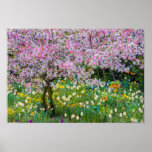 Springtime in Claude Monet's garden Poster<br><div class="desc">Jaynes Gallery / DanitaDelimont.com | Europe,  France | France,  Giverny. Springtime in Claude Monet's garden.</div>