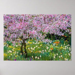 Springtime in Claude Monet's garden Poster