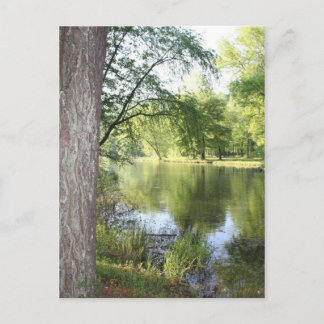 "Springtime in East Tennessee" Postcard