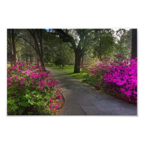 Springtime In Forsyth Park Savannah Photo Print