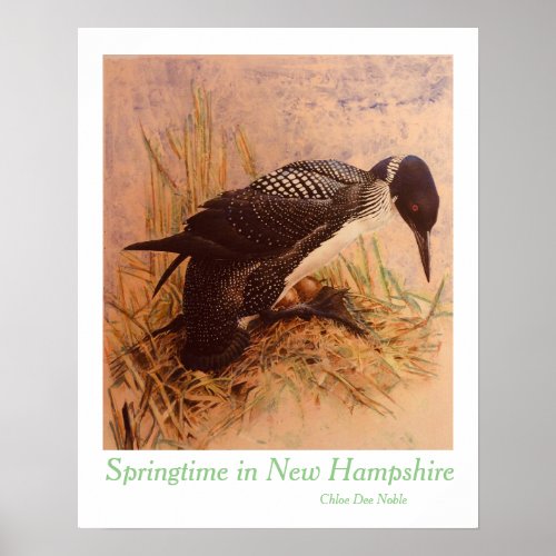 Springtime in New Hampshire by Chloe Dee Noble Poster