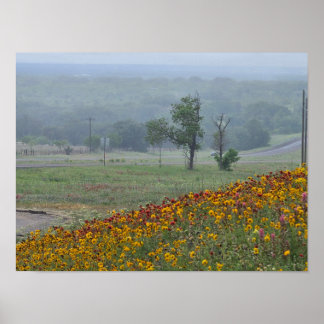 Springtime in Texas Poster