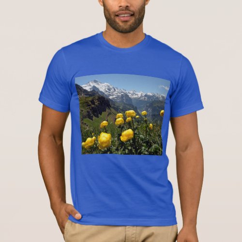 Springtime in the alps T_Shirt