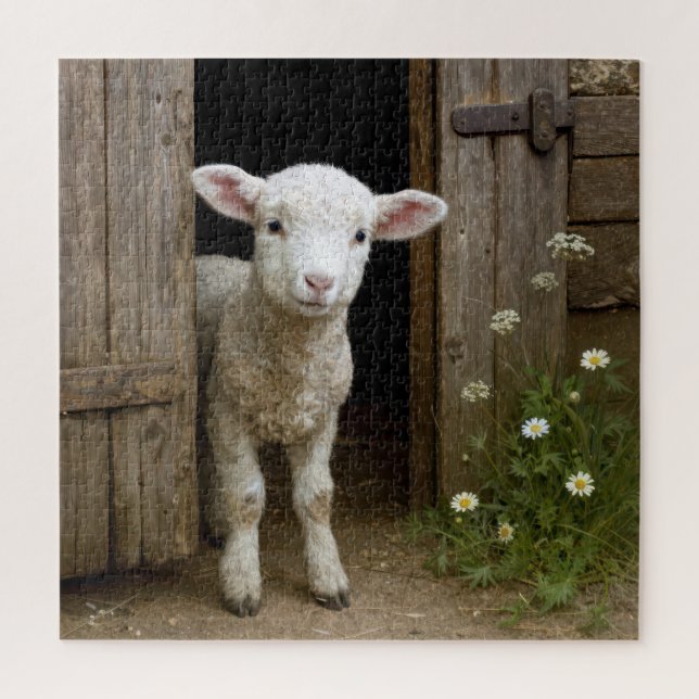 Springtime Lamb Standing In Barn Doorway Jigsaw Puzzle (Vertical)