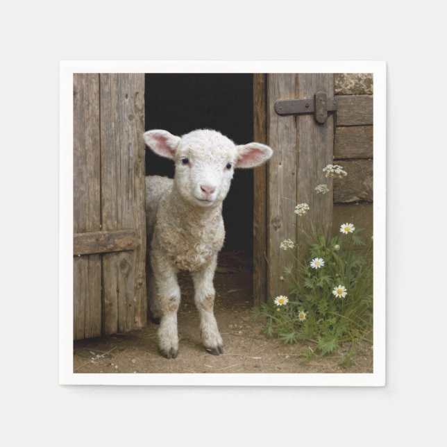 Springtime Lamb Standing In Barn Doorway Napkins (Front)