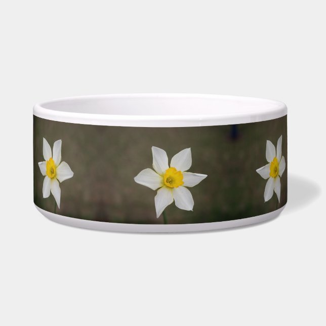 Springtime Large Bowl (Front)