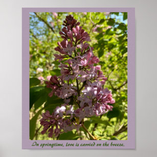 Springtime Lilac Inspirational Print
