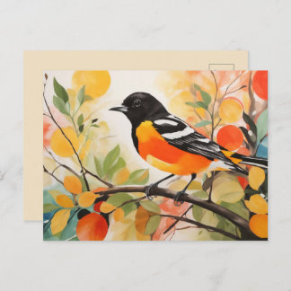 Springtime Nature's Charm Bird Baltimore Oriole Postcard