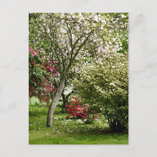 Springtime Postcard (Front)