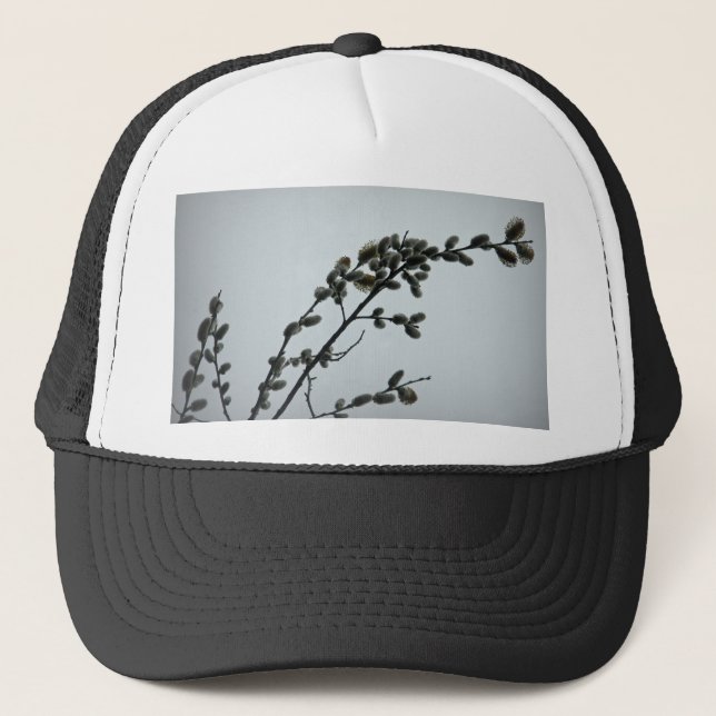 Springtime Pussy Willow Catkins Trucker Hat (Front)