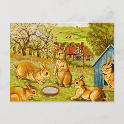 Springtime Rabbits by Louis Wain Postcard