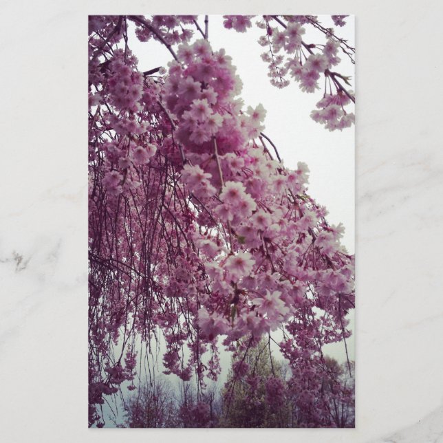 Springtime Stationery (Front)