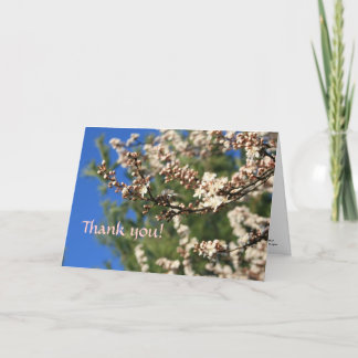 Springtime Thank You Card